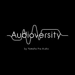 559966宝马娱乐游戏专业音响教育培训开展全新“Audioversity ”计划